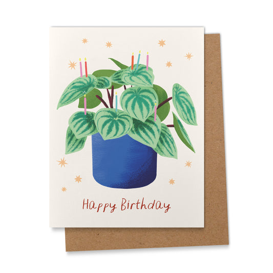 Houseplant  Birthday Greeting Card